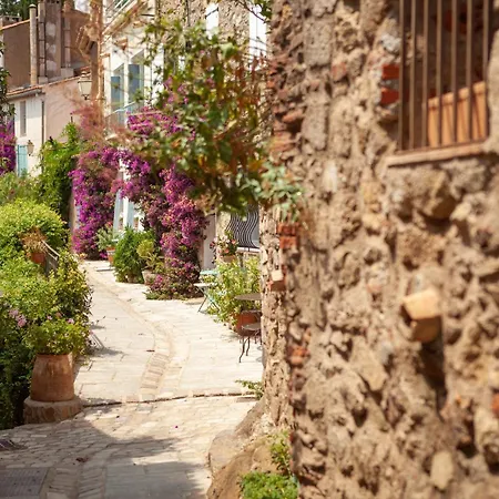 شقة Tortue - Happy *