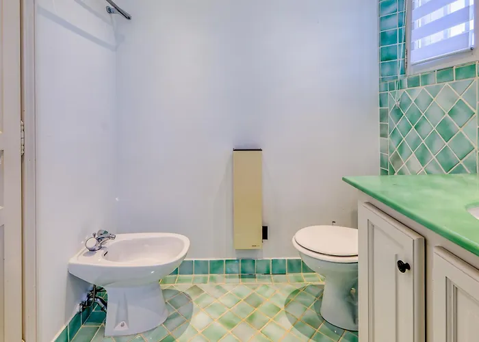 Tortue - Happy غريمو