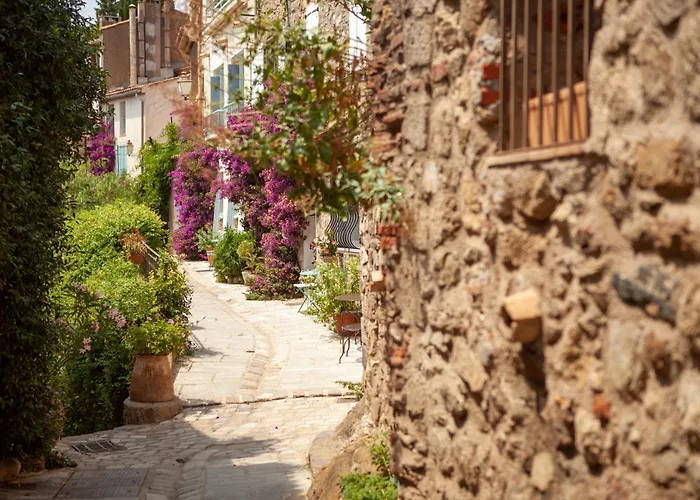 شقة Tortue - Happy *