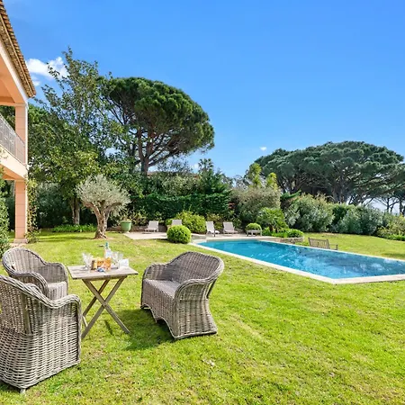 Tortue - Happy Grimaud