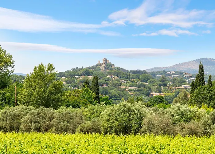 Tortue - Happy * Grimaud