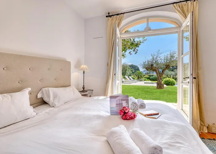 Tortue - Happy Apartment Grimaud