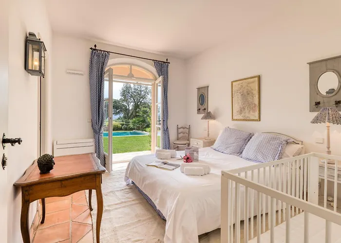 Tortue - Happy Apartment Grimaud